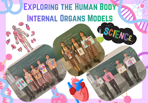The children of Class VII-C enthusiastically participated in an FA(a) Science activity by preparing models of internal organs, including the heart, lungs and kidneys.